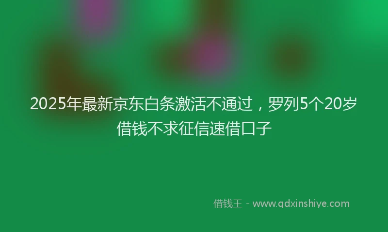 2025年最新京东白条激活不通过，罗列5个20岁借钱不求征信速借口子