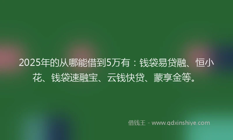 2025年的从哪能借到5万有：钱袋易贷融、恒小花、钱袋速融宝、云钱快贷、蒙享金等。