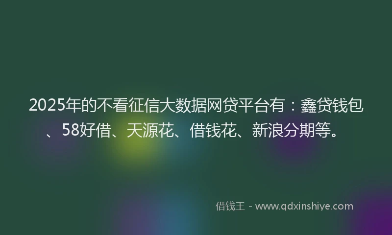 2025年的不看征信大数据网贷平台有：鑫贷钱包、58好借、天源花、借钱花、新浪分期等。