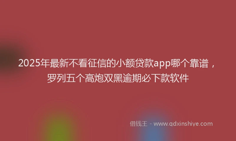 2025年最新不看征信的小额贷款app哪个靠谱，罗列五个高炮双黑逾期必下款软件