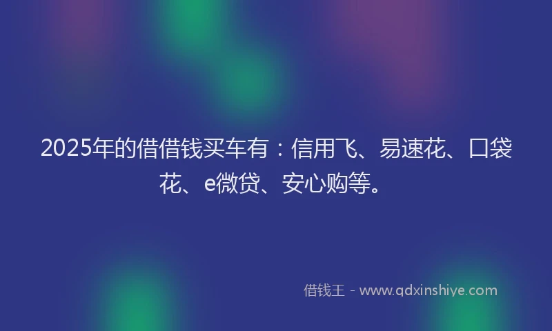 2025年的借借钱买车有：信用飞、易速花、口袋花、e微贷、安心购等。