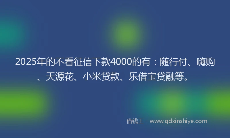 2025年的不看征信下款4000的有：随行付、嗨购、天源花、小米贷款、乐借宝贷融等。