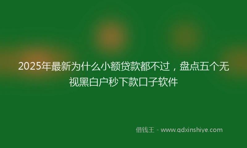 2025年最新为什么小额贷款都不过，盘点五个无视黑白户秒下款口子软件