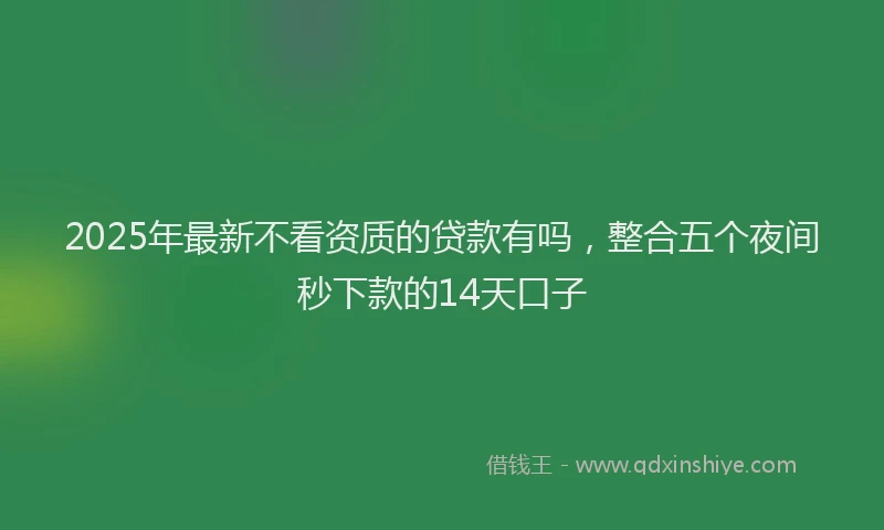 2025年最新不看资质的贷款有吗，整合五个夜间秒下款的14天口子