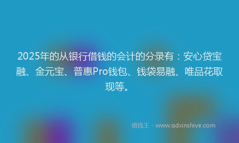 2025年的从银行借钱的会计的分录有：安心贷宝融、金元宝、普惠Pro钱包、钱袋易融、唯品花取现等。
