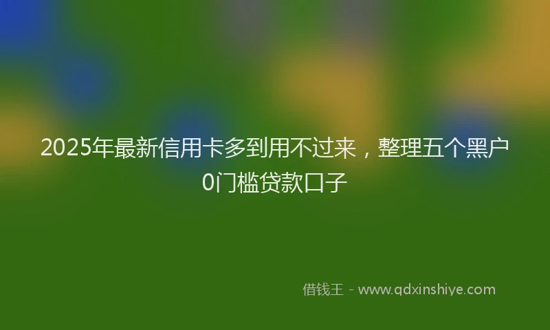 2025年最新信用卡多到用不过来，整理五个黑户0门槛贷款口子