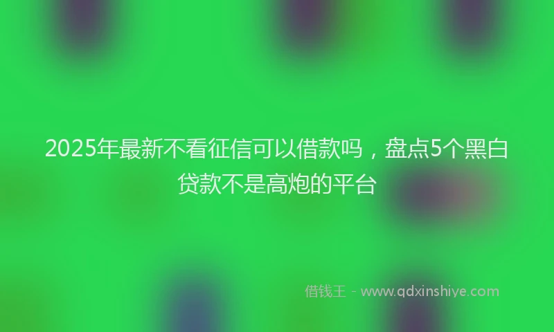 2025年最新不看征信可以借款吗，盘点5个黑白贷款不是高炮的平台