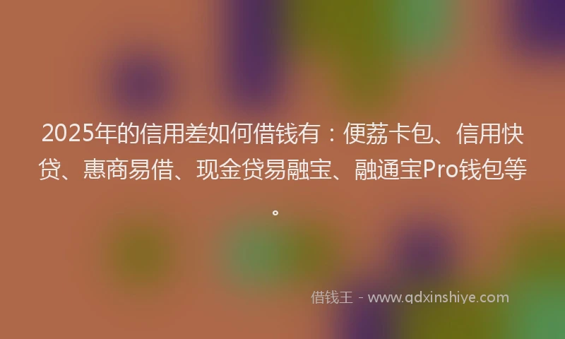 2025年的信用差如何借钱有：便荔卡包、信用快贷、惠商易借、现金贷易融宝、融通宝Pro钱包等。