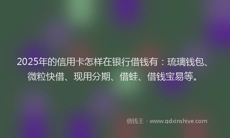2025年的信用卡怎样在银行借钱有：琉璃钱包、微粒快借、现用分期、借蛙、借钱宝易等。