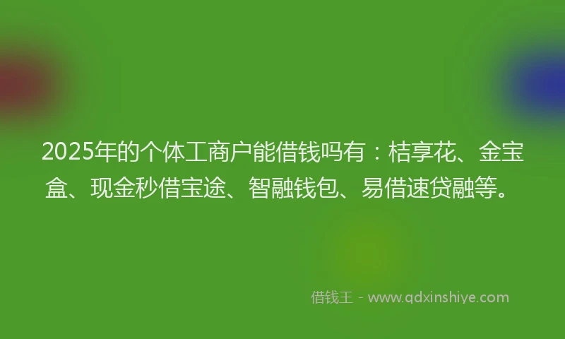2025年的个体工商户能借钱吗有：桔享花、金宝盒、现金秒借宝途、智融钱包、易借速贷融等。