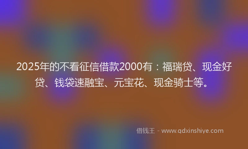 2025年的不看征信借款2000有：福瑞贷、现金好贷、钱袋速融宝、元宝花、现金骑士等。