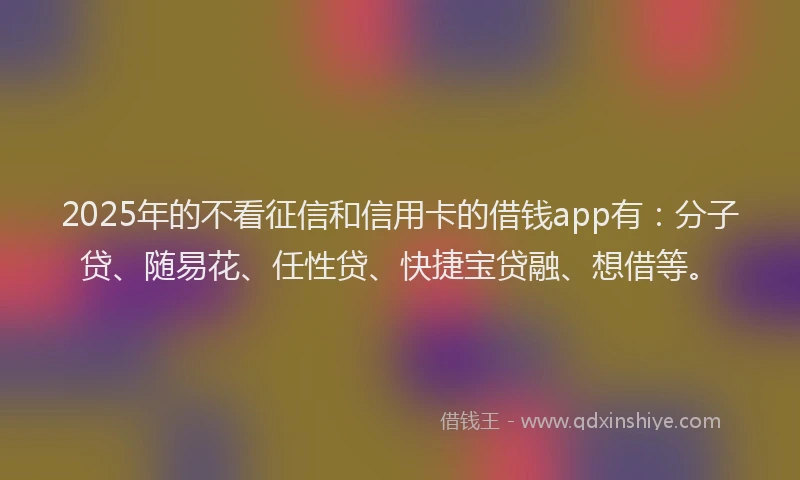 2025年的不看征信和信用卡的借钱app有：分子贷、随易花、任性贷、快捷宝贷融、想借等。