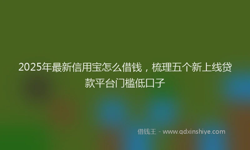2025年最新信用宝怎么借钱，梳理五个新上线贷款平台门槛低口子