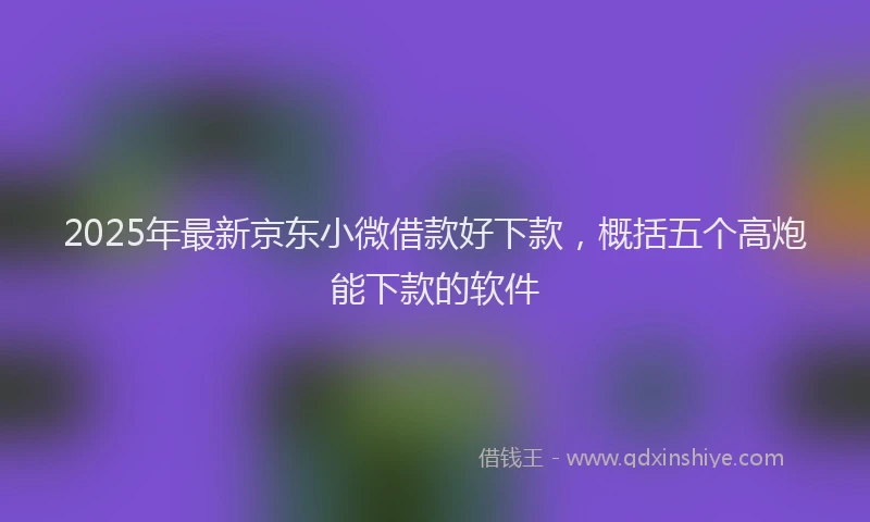 2025年最新京东小微借款好下款，概括五个高炮能下款的软件