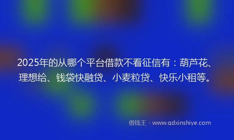 2025年的从哪个平台借款不看征信有：葫芦花、理想给、钱袋快融贷、小麦粒贷、快乐小租等。
