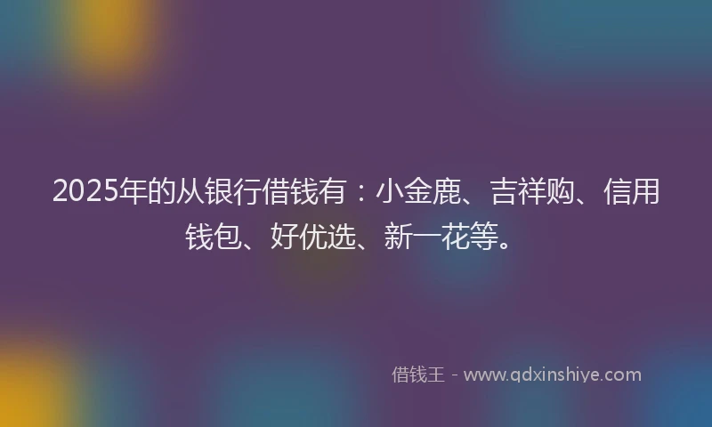 2025年的从银行借钱有：小金鹿、吉祥购、信用钱包、好优选、新一花等。