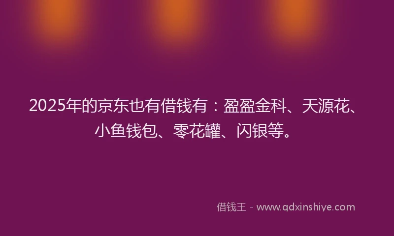2025年的京东也有借钱有：盈盈金科、天源花、小鱼钱包、零花罐、闪银等。