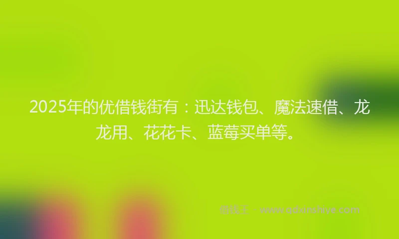 2025年的优借钱街有：迅达钱包、魔法速借、龙龙用、花花卡、蓝莓买单等。