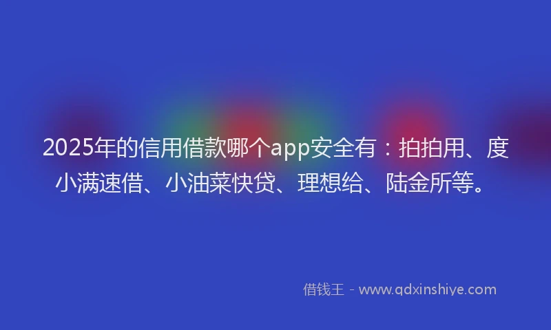 2025年的信用借款哪个app安全有：拍拍用、度小满速借、小油菜快贷、理想给、陆金所等。