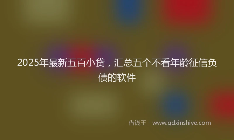 2025年最新五百小贷，汇总五个不看年龄征信负债的软件