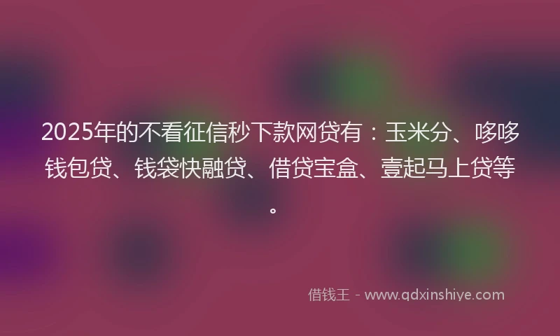 2025年的不看征信秒下款网贷有：玉米分、哆哆钱包贷、钱袋快融贷、借贷宝盒、壹起马上贷等。