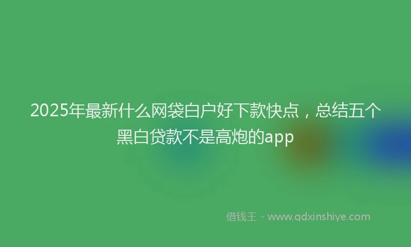 2025年最新什么网袋白户好下款快点，总结五个黑白贷款不是高炮的app