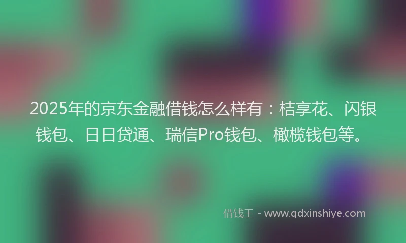 2025年的京东金融借钱怎么样有：桔享花、闪银钱包、日日贷通、瑞信Pro钱包、橄榄钱包等。