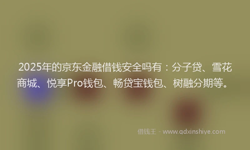 2025年的京东金融借钱安全吗有：分子贷、雪花商城、悦享Pro钱包、畅贷宝钱包、树融分期等。