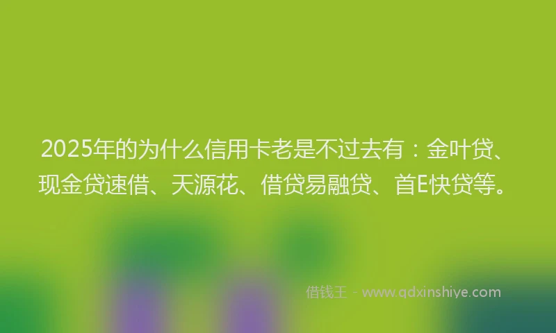 2025年的为什么信用卡老是不过去有：金叶贷、现金贷速借、天源花、借贷易融贷、首E快贷等。
