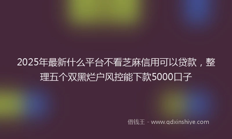 2025年最新什么平台不看芝麻信用可以贷款，整理五个双黑烂户风控能下款5000口子