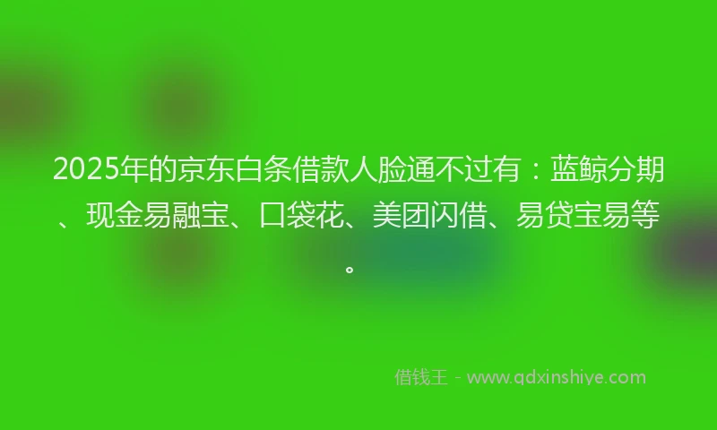 2025年的京东白条借款人脸通不过有：蓝鲸分期、现金易融宝、口袋花、美团闪借、易贷宝易等。