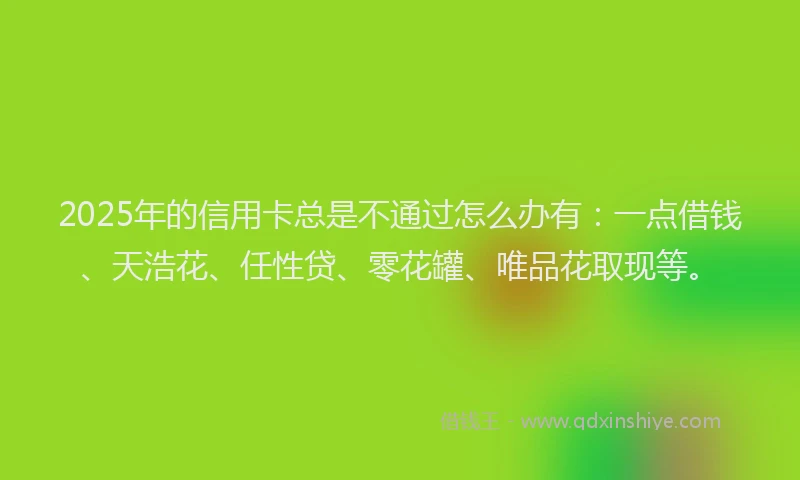2025年的信用卡总是不通过怎么办有：一点借钱、天浩花、任性贷、零花罐、唯品花取现等。