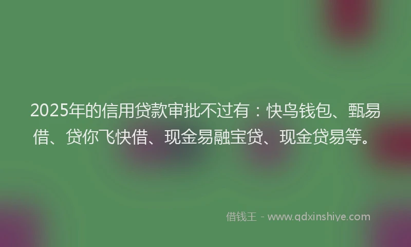 2025年的信用贷款审批不过有：快鸟钱包、甄易借、贷你飞快借、现金易融宝贷、现金贷易等。