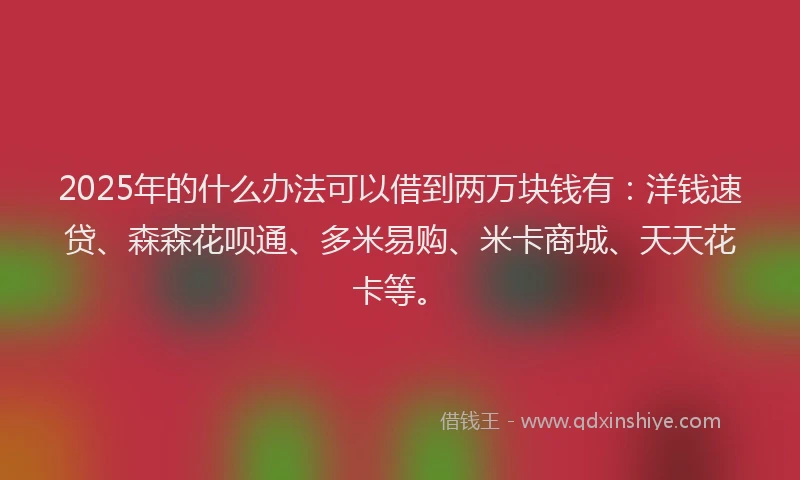 2025年的什么办法可以借到两万块钱有：洋钱速贷、森森花呗通、多米易购、米卡商城、天天花卡等。