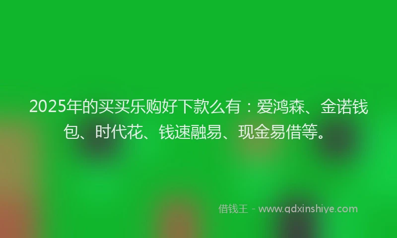2025年的买买乐购好下款么有：爱鸿森、金诺钱包、时代花、钱速融易、现金易借等。