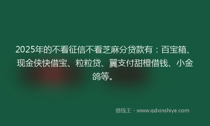 2025年的不看征信不看芝麻分贷款有：百宝箱、现金侠快借宝、粒粒贷、翼支付甜橙借钱、小金鸽等。