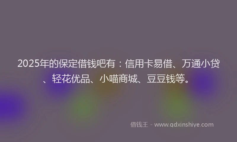 2025年的保定借钱吧有：信用卡易借、万通小贷、轻花优品、小喵商城、豆豆钱等。