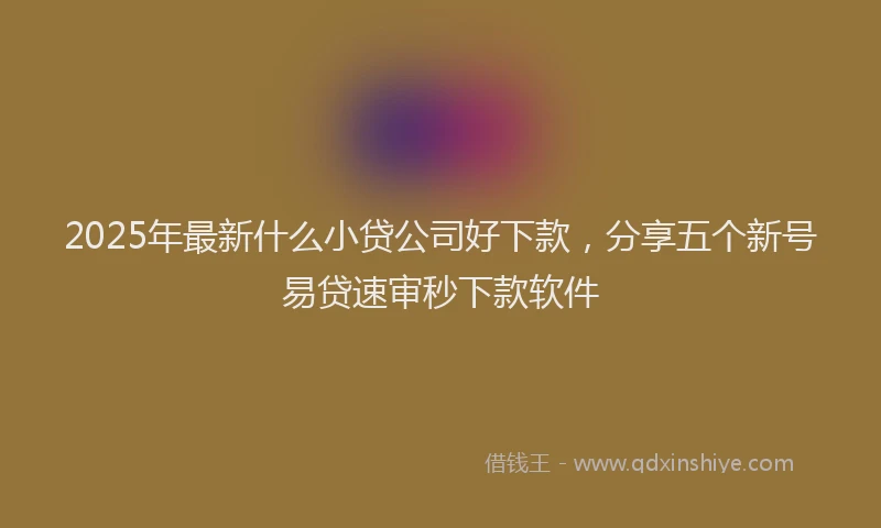 2025年最新什么小贷公司好下款，分享五个新号易贷速审秒下款软件
