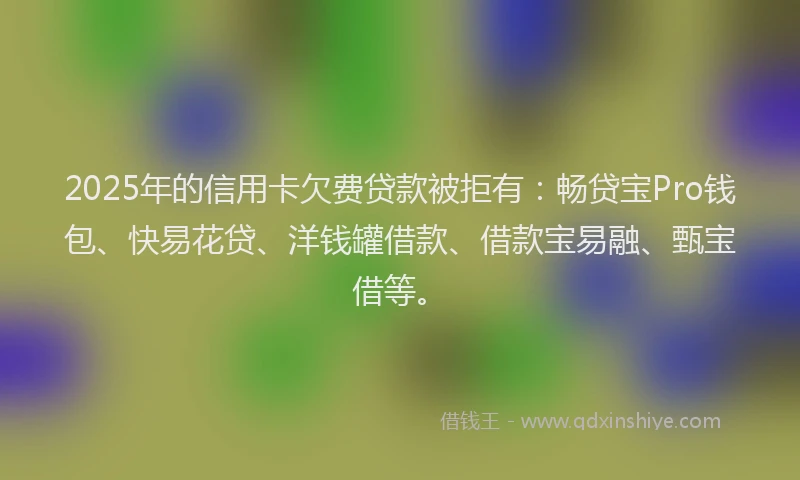 2025年的信用卡欠费贷款被拒有：畅贷宝Pro钱包、快易花贷、洋钱罐借款、借款宝易融、甄宝借等。