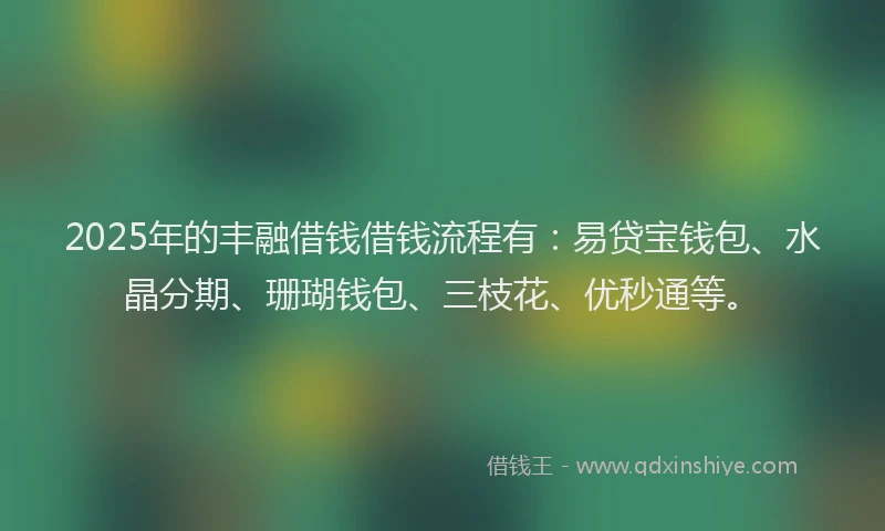 2025年的丰融借钱借钱流程有：易贷宝钱包、水晶分期、珊瑚钱包、三枝花、优秒通等。