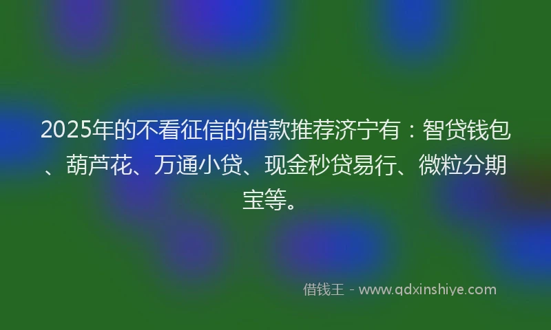 2025年的不看征信的借款推荐济宁有：智贷钱包、葫芦花、万通小贷、现金秒贷易行、微粒分期宝等。