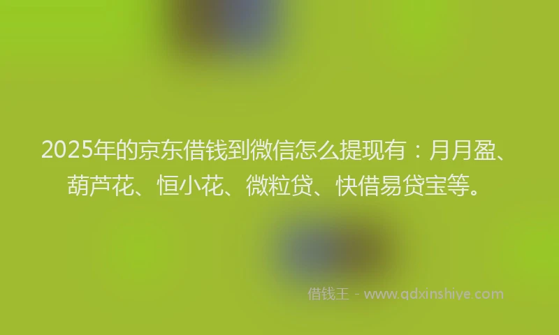 2025年的京东借钱到微信怎么提现有：月月盈、葫芦花、恒小花、微粒贷、快借易贷宝等。