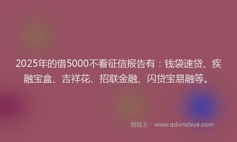 2025年的借5000不看征信报告有：钱袋速贷、疾融宝盒、吉祥花、招联金融、闪贷宝易融等。