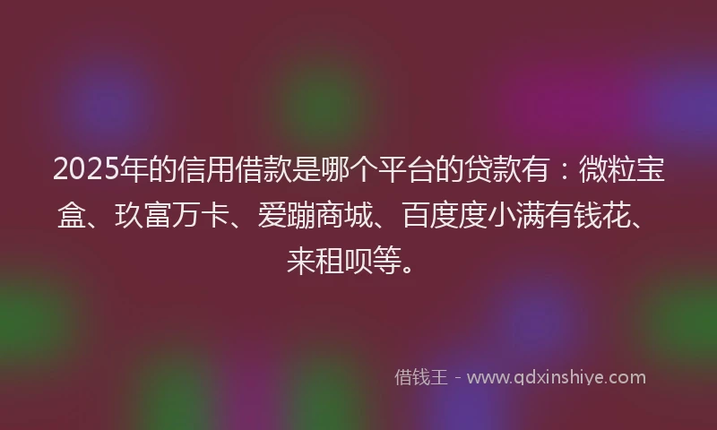 2025年的信用借款是哪个平台的贷款有：微粒宝盒、玖富万卡、爱蹦商城、百度度小满有钱花、来租呗等。