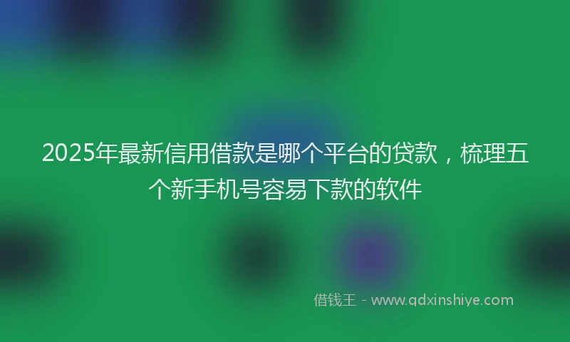 2025年最新信用借款是哪个平台的贷款，梳理五个新手机号容易下款的软件