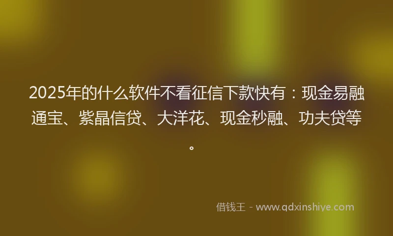 2025年的什么软件不看征信下款快有：现金易融通宝、紫晶信贷、大洋花、现金秒融、功夫贷等。