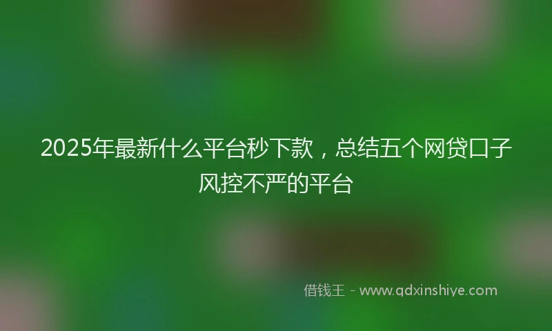 2025年最新什么平台秒下款，总结五个网贷口子风控不严的平台