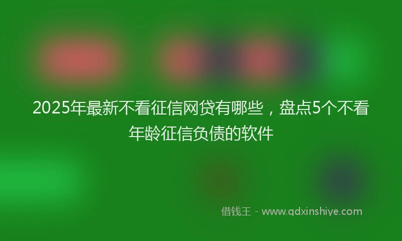 2025年最新不看征信网贷有哪些，盘点5个不看年龄征信负债的软件