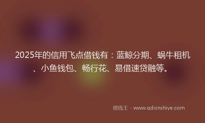 2025年的信用飞点借钱有：蓝鲸分期、蜗牛租机、小鱼钱包、畅行花、易借速贷融等。