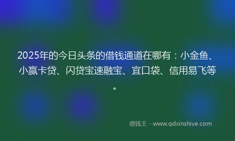 2025年的今日头条的借钱通道在哪有：小金鱼、小赢卡贷、闪贷宝速融宝、宜口袋、信用易飞等。